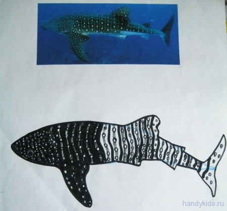  Китовая акула