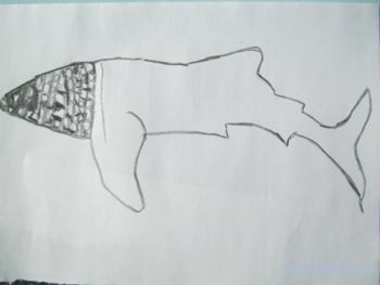   Китовая акула