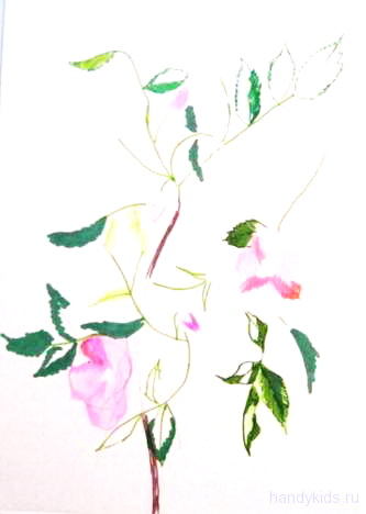 Рисуем цветы шиповника