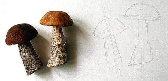 Рисуем грибы с натуры