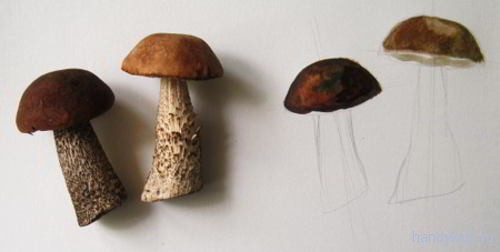  Рисуем грибы поэтапно