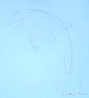 Дельфин -рисунок карандашом