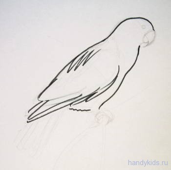 Рисуем попугая