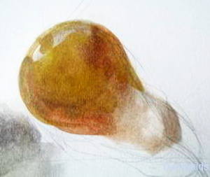 Рисуем грушу акварельными красками