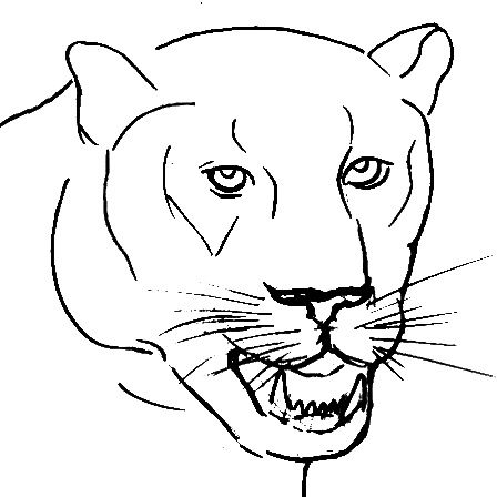 7-How-to-draw-a-panther-face- step-by-step-010
