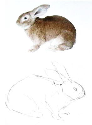 Рисуем кролика