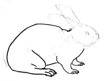 Рисуем кролика карандашом.