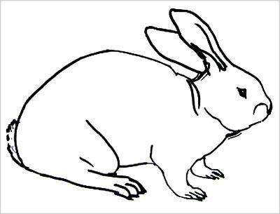 Раскраска Кролик 