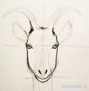 как нарисовать голову козы