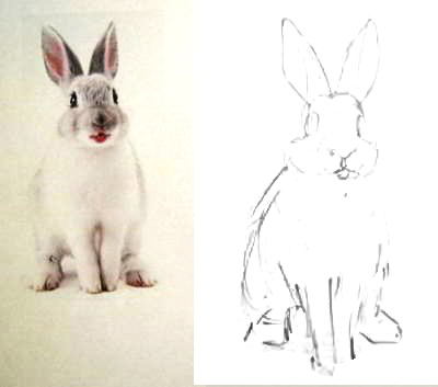 Как рисовать кролика