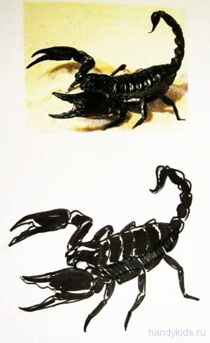 как нарисовать скорпиона