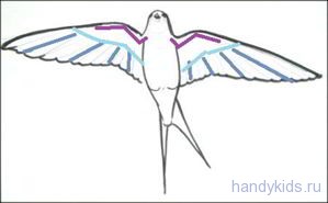 Строение крыльев птицы