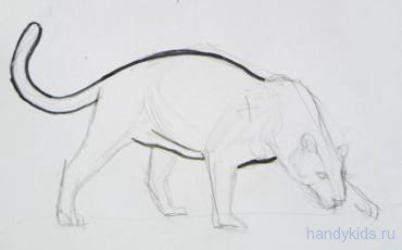  поэтапное рисование ягуара