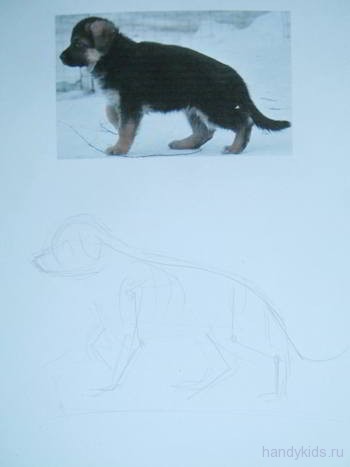 Как нарисовать  щенка овчарки карандашом