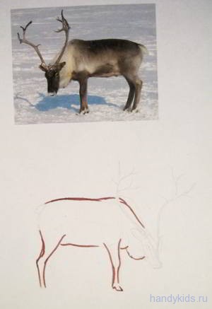 Как рисовать оленя