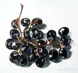 Рисунок -гроздь винограда