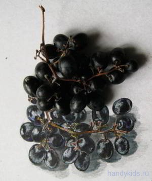 Виноград и рисунок виноград