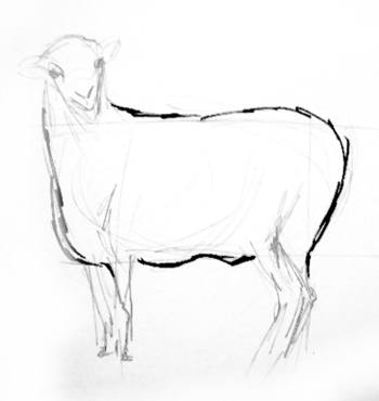 Поэтапный рисунок овцы