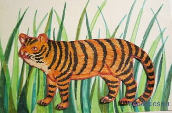 Раскраска тигр в траве