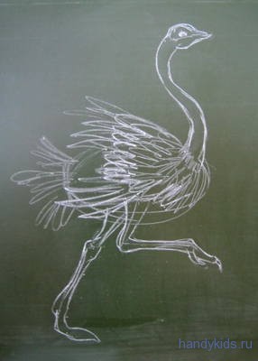 Рисунок страус