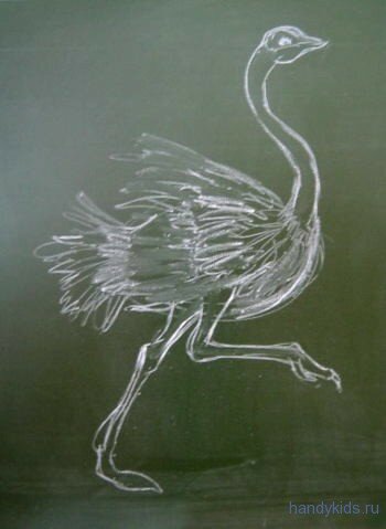 Рисунок страус