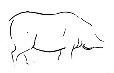 Поэтапный рисунок свиньи
