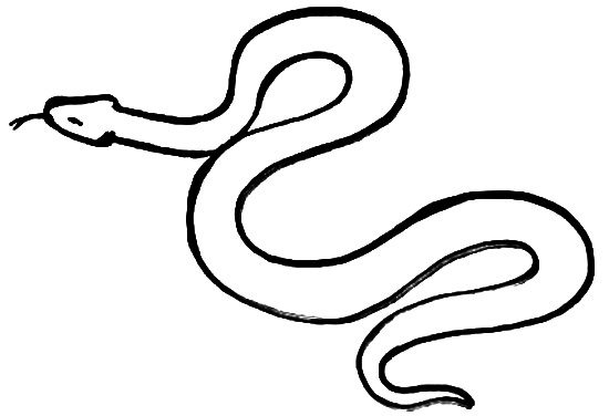 Рисунок -раскраска змея(гадюка)