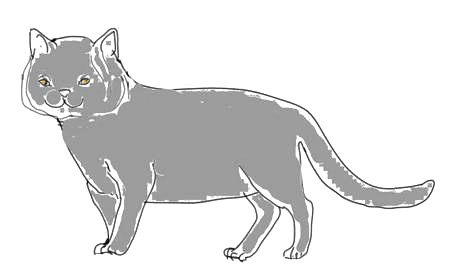 Рисунок Британская Кошка