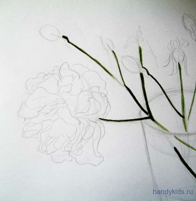 Как нарисовать цветок розы карандашом