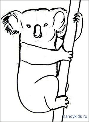 Раскраска коала