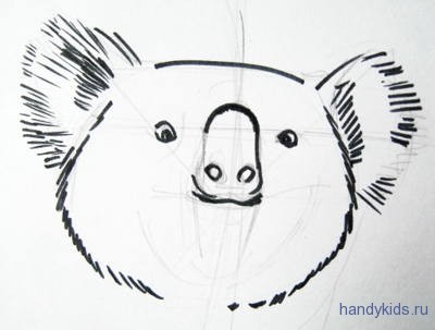 Как нарисовать мордочку коалы