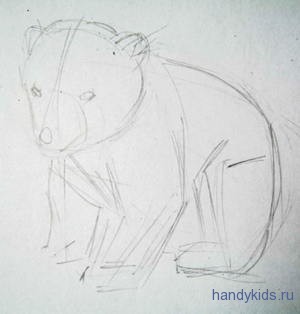 Как нарисовать белого медвежонка