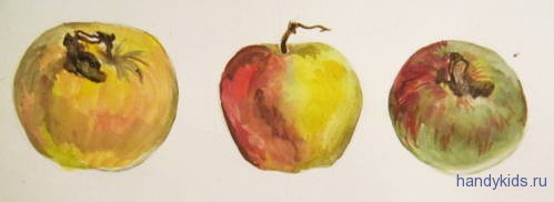 Яблоки различной окраски