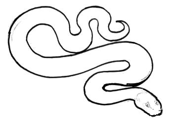 Змея - контурный рисунок
