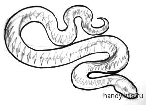 Рисуем змею гадюку поэтапно