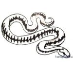 Как  красиво  нарисовать змею (змея)