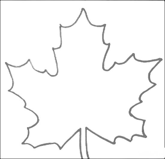 Раскраска лист клёна