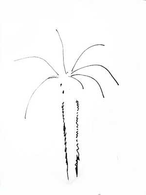  Рисуем пальму