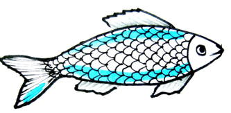Fish coloring for kids