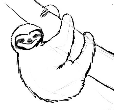 Рисунок ленивец