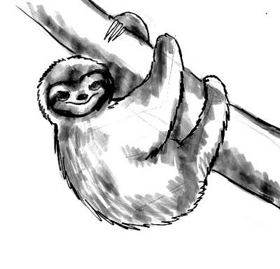 Ленивец рисунок