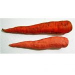 Лепка Морковь