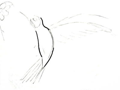 Рисуем колибри