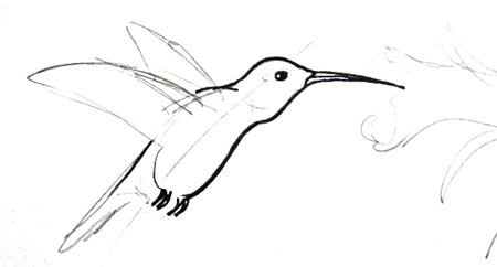 Нарисуем колибри