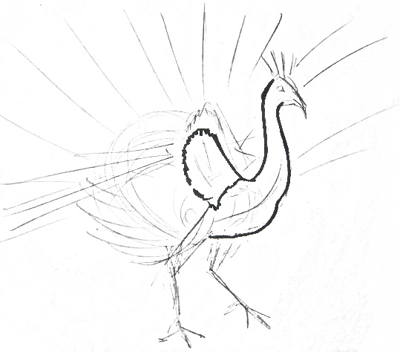 Рисуем птицу павлина