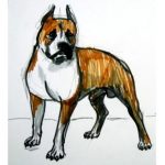Как нарисовать собаку породы питбуль