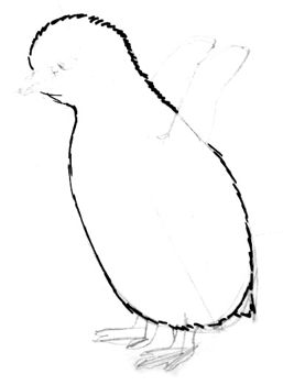 Поэтапное рисование пингвинёнка