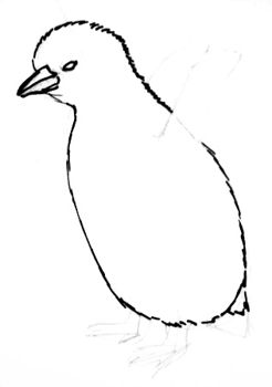 Поэтапно нарисуем пингвинёнка